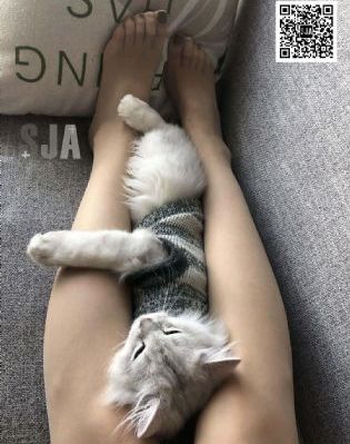五月婷婷爱_蓝光HD在线观看